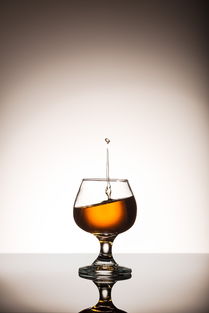 從土地到餐桌 農業(yè)循環(huán)中的食物、營養(yǎng)與酒精飲料