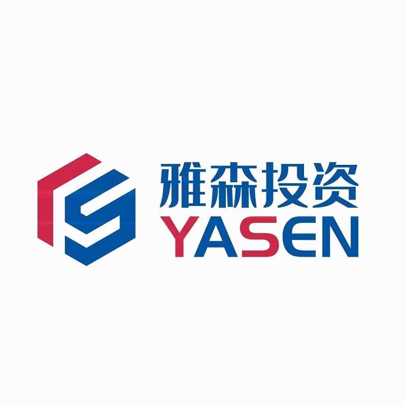 龍巖市雅森投資咨詢 專業(yè)視野下的投資智慧與實(shí)務(wù)指南