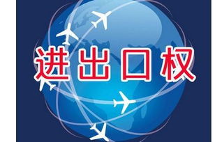 上海外貿(mào)公司如何辦理進出口權(quán)資質(zhì)申請與廣告設(shè)計業(yè)務拓展